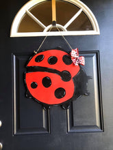 Load image into Gallery viewer, Ladybug
