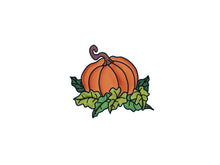 Load image into Gallery viewer, Fall Pumpkin
